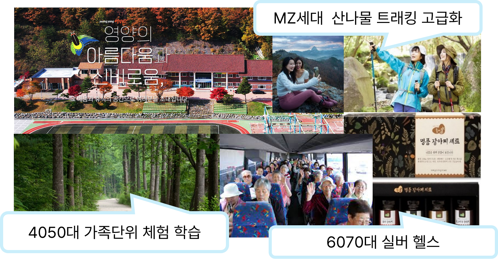 관광정책 방향 도출 분석 이미지