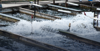 스마트 양식장 펌프 고장예측 모델 개발