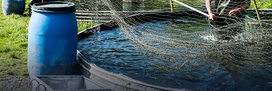 수집 환경 구축